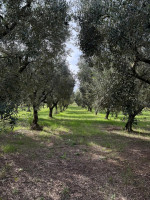 /album/galleria-foto-guarrelle/whatsapp-image-2025-10-12-at-15-47-47-jpeg/